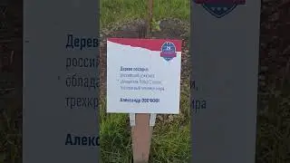 ДАЦЮК И ОВЕЧКИН ПОСАДИЛИ