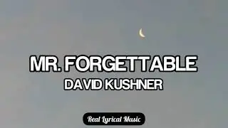 David kushner - Mr. Forgettable (Lyrics)