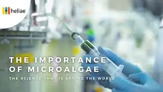 Learn about the Science that is Saving the Planet