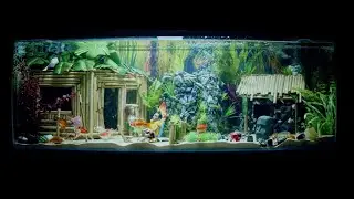 Lowrie - Touch (Music Video)