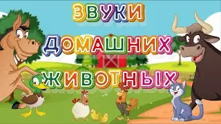 ЗВУКИ ЖИВОТНЫХ ДЛЯ САМЫХ МАЛЕНЬКИХ звуки домашних животных обучающие и развивающие