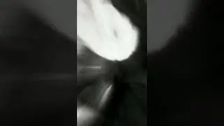 Васька смешной он такой Бешанный что аж стал смешныим😂😂😂😂🤣🤣🤣🤣 #trend #phonk #хочувреки #funny #юмор
