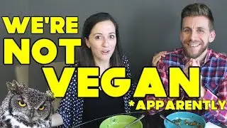 No, We Will Not Euthanize Our Cats | Responding to Comments 2 | Mukbang