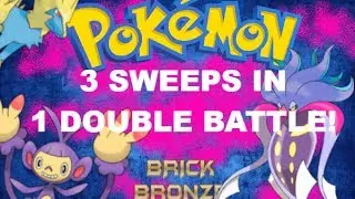 3 SWEEPS IN 1 DOUBLE BATTLE!/POKEMON BRICK BRONZE/2V2 BATTLES!