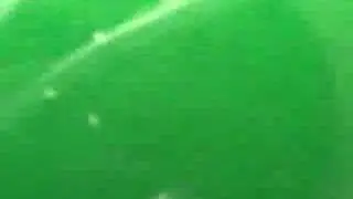 Indoor Spirulina Production Spirulina Platensis
