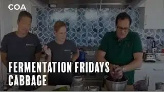 Cabbage Fermentation