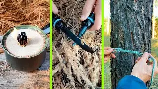 20 Essential Forest Survival Hacks You Need to Know!