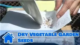 Growing Vegetables From Seeds : How to Dry Vegetable Garden Seeds