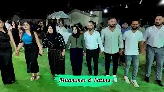 Muammer & Fatma- Düğün Töreni-Stranbej Yusuf-Zana Say & Welat- Taşpınar Cihanbeyli BaşaranVideo®