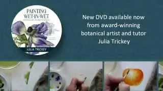 Painting wet in wet by Julia Trickey - trailer