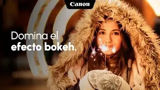 Consigue el efecto bokeh en tus fotos