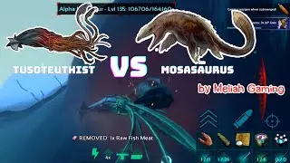 Tusoteuthis VS Mosasaurus?????? ARK MOBILE
