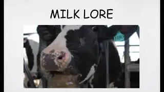 Milk Lore meme [Gotyewokeuplikethis] memes