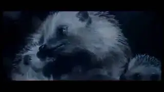 26 января 2022 г.