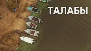 Талабы / Красота, нищета и чудеса посреди Псковского моря / 