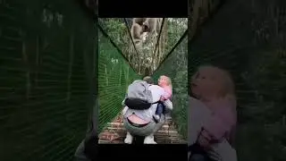 Strangest Things Caught on Camera