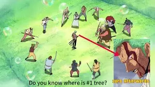 Whose fault? ☝️Zoro❌️