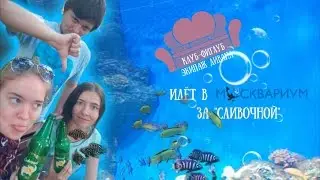 Клуб-фиглуб идёт в Москвариум #4