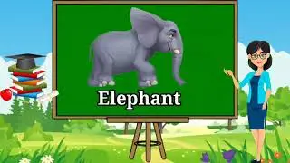 Fact and Opinion|Grade 3 Video Lesson | MELC BASED