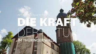 Entschleunigung in Thüringen - Die Kraft der Natur im Thüringer Wald mit Thorsten Hoyer