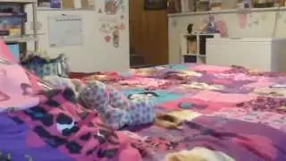 Webcam video from November 26, 2014 12:50 PM