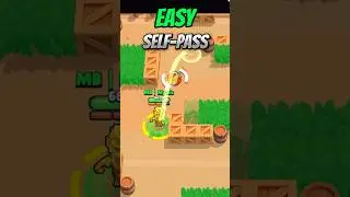Pro Gray Guide 
