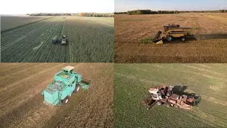 Урожай 2023