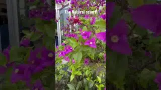 КТО ОТДЫХАЛ В ЭТОМ ОТЕЛЕ? КАК ВАМ?