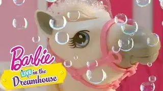 BUON COMPLEANNO, CHELSEA | Barbie LIVE! In The Dreamhouse | 