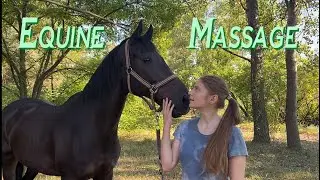 Equine Massage, Simple Techniques | LanaZavada
