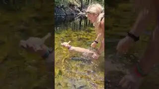 СОБАКА. ПРАВИЛЬНАЯ ТЕХНИКА. #xoloitzcuintli #голая собака #плаванье #shorts