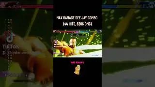 MAX DAMAGE DEE JAY COMBO (44 HITS, 6206 DMG) 