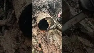 #бензопила 💥