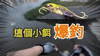 這個小餌讓我在觀光場爆釣 #微風運河 #路亞 #VIB