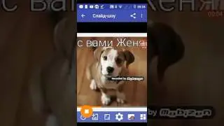 Пешите вопросы