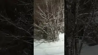 Просьба человека у бога.