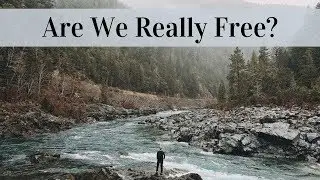 Are We Really Free? Were We Ever??(Patreon Archives)