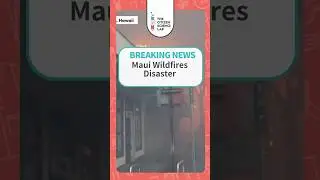 Devastating Hawaii wildfires 