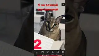 #Почем#домер