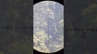 Bullet Vapor Trail @ 600 yards