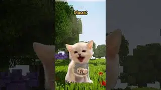 Action robbed my father😱 Parody of @Danya_rodnoy 