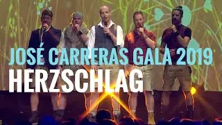 voXXclub: "Herzschlag" bei der José Carreras Gala 2019