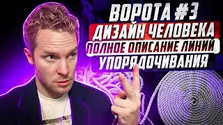 Ворота №3. Упорядочивания. Полное описание с линиями