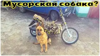 ПЕРВЫЙ ВЫЕЗД НА РОЗБІЙНИКЕ ПОСЛЕ РЕБИЛДА!