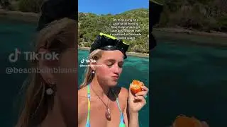 Sailing Virgins | Intro To Sailing March 2024 | Post Snorkel