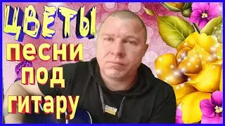 ПЕСНЯ ЦВЕТЫ | ПЕСНИ ПОД ГИТАРУ | ZINTARI TV