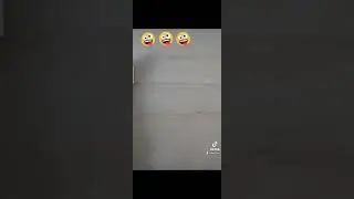 анекдот