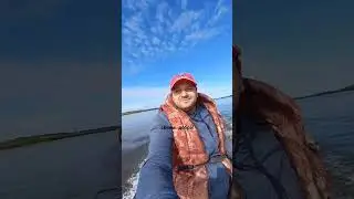 рыбалка на щуку в Колпашево