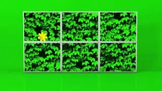 Art Gallery of NSW -  Pop Art - Explainer