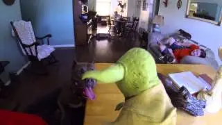 Dogs vs Yoda, and playing in the rain.